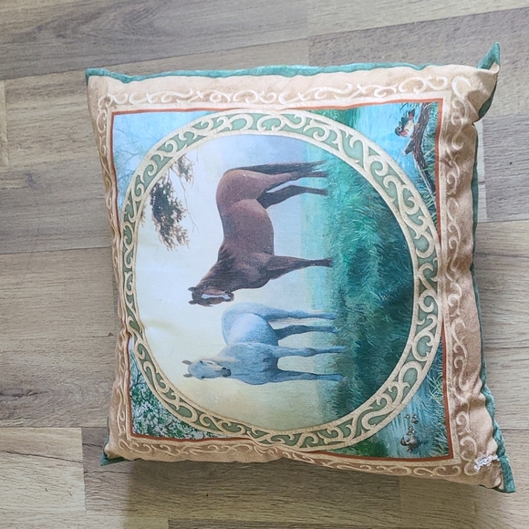 Pillow & Cover - Picture 1 of 5